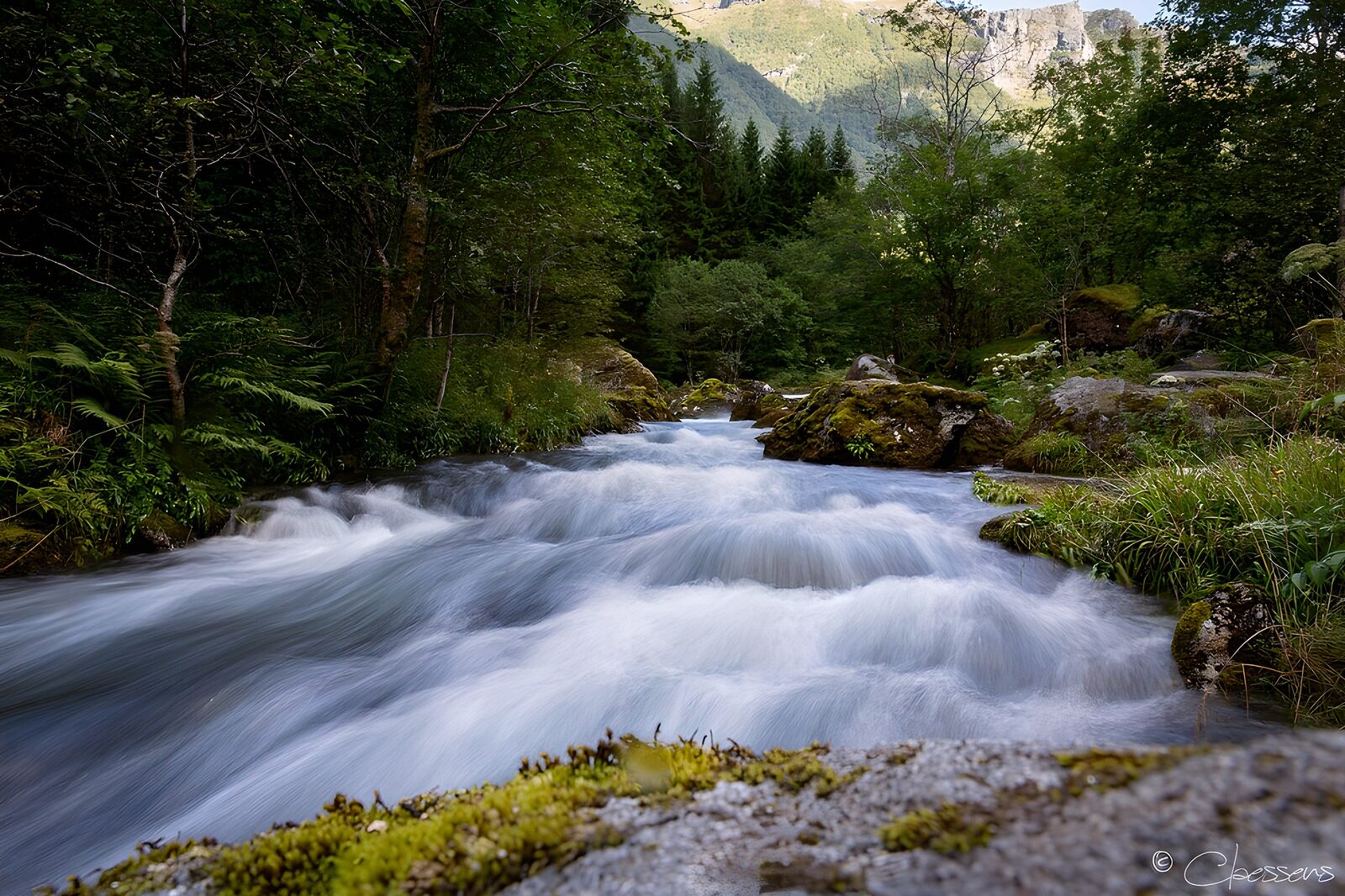 TPFR85027: Rivière paisible au cœur de la nature