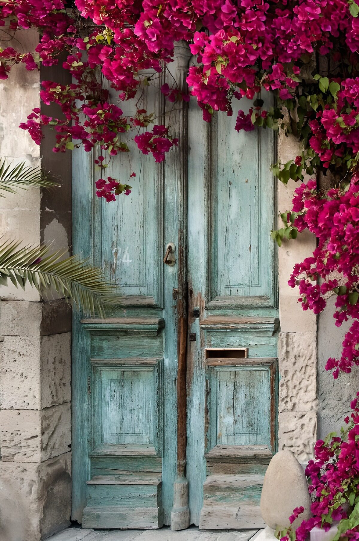 TPFR35027: Porte ancienne avec fleurs colorées