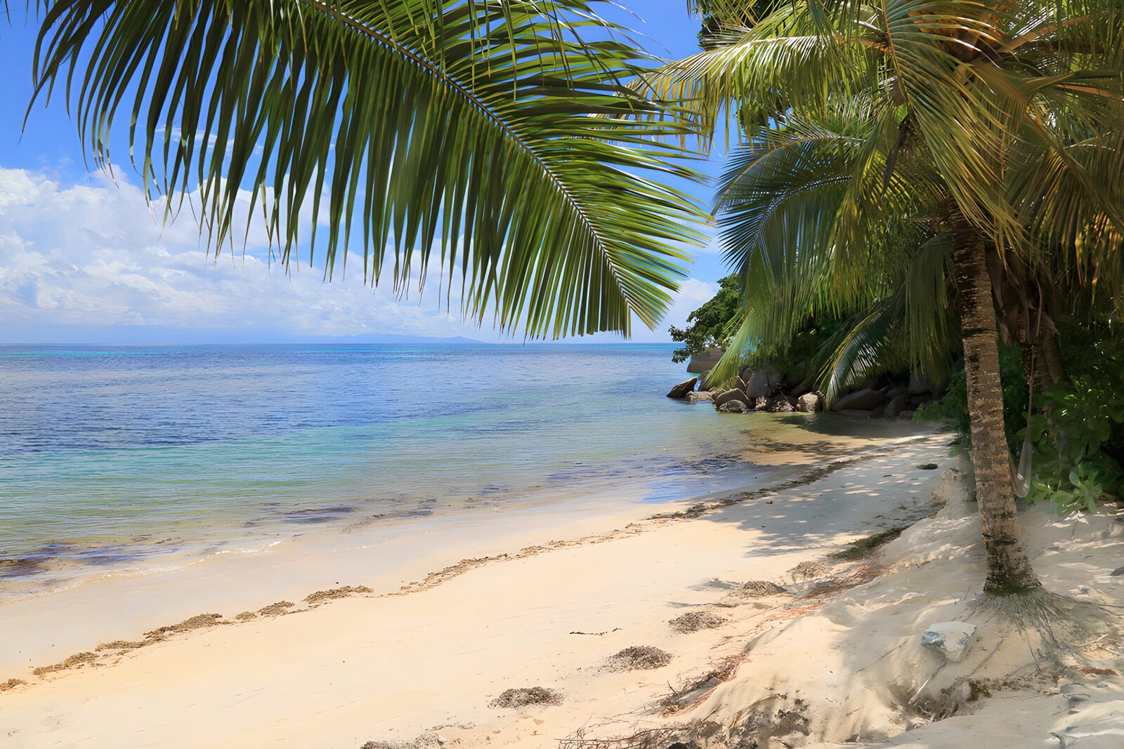 TPFR70321: Plage paradisiaque sous les palmiers