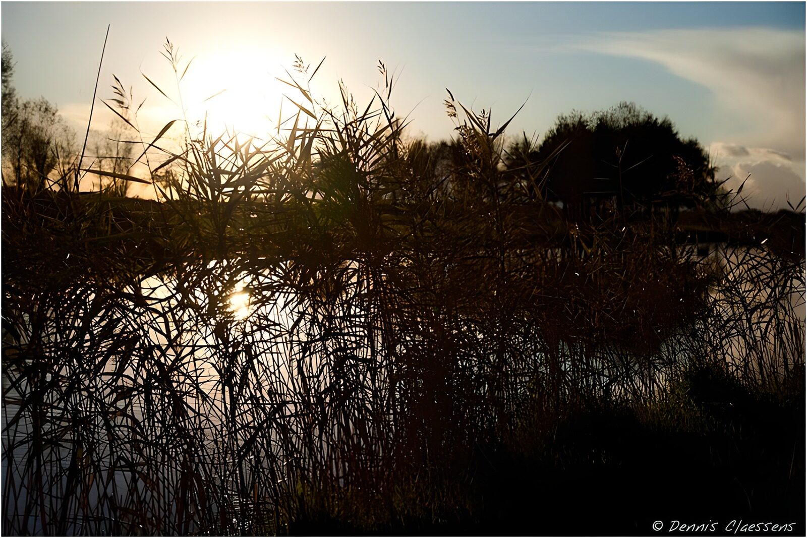 TPFR36634: Reflets dorés au crépuscule