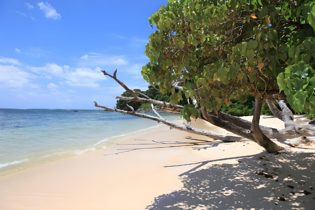 TPFR46229: Plage tranquille sous un ciel bleu