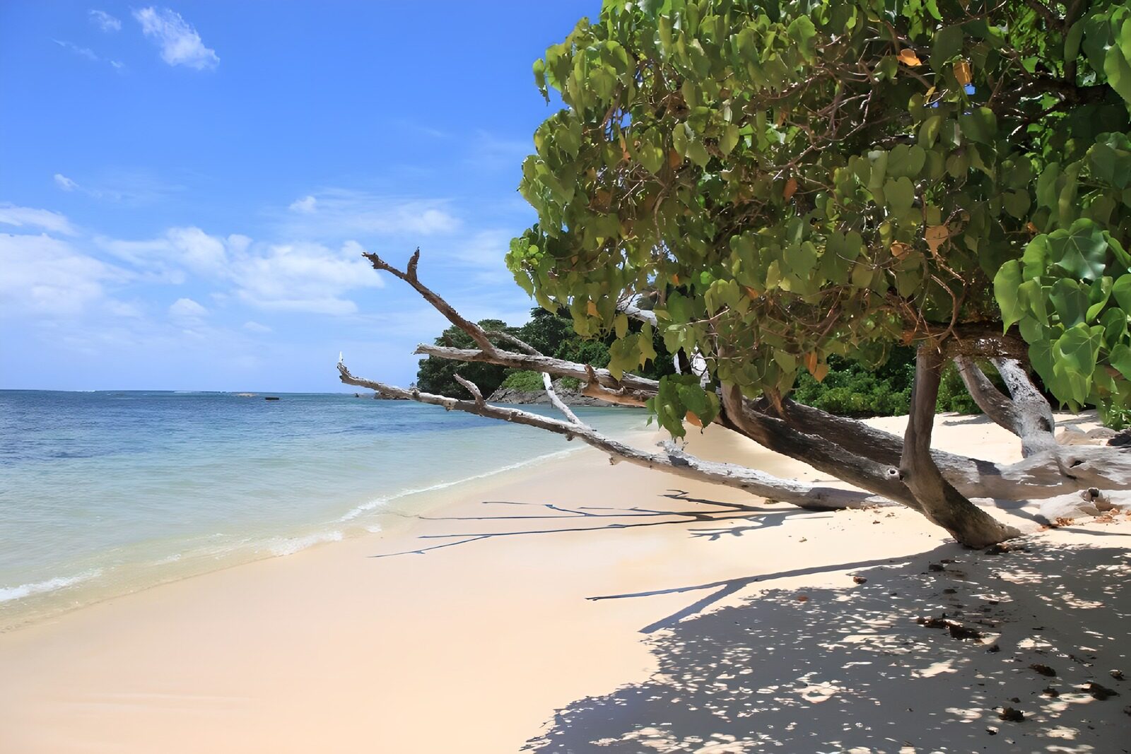 TPFR46229: Plage tranquille sous un ciel bleu