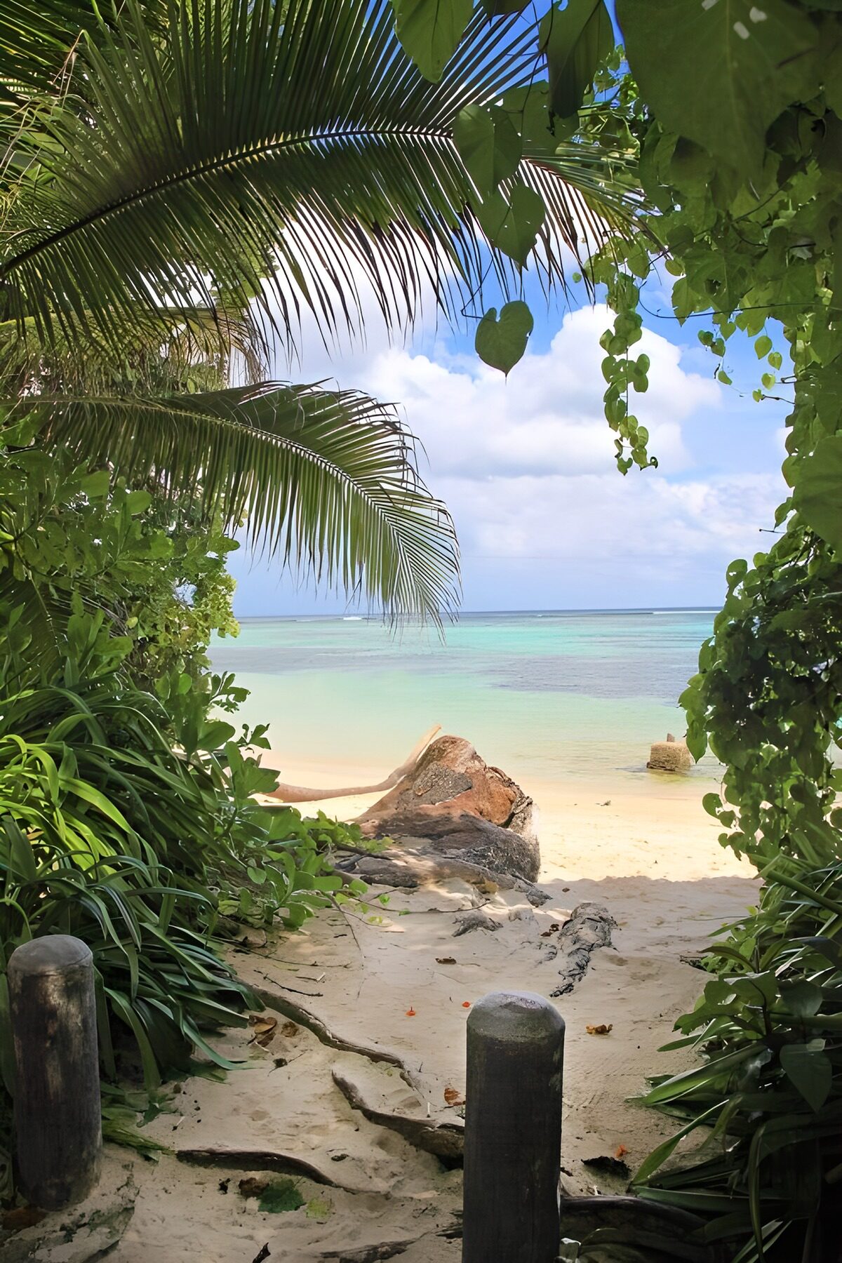 TPFR70812: Paradis caché au bord de la mer