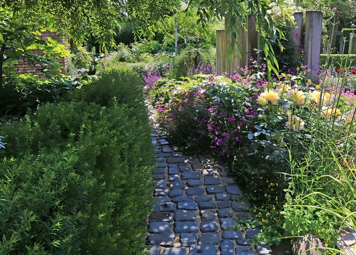 TPFR38404: Chemin fleuri dans un jardin en été