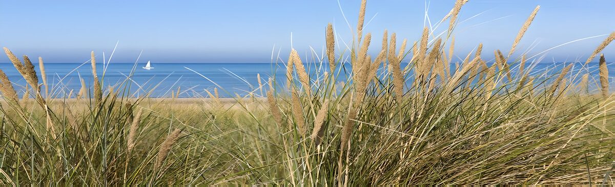 TPFR33419: Plage paisible avec voilier