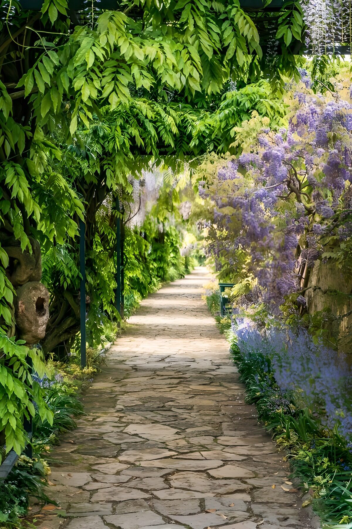 TPFR19208: Allée enchantée des fleurs