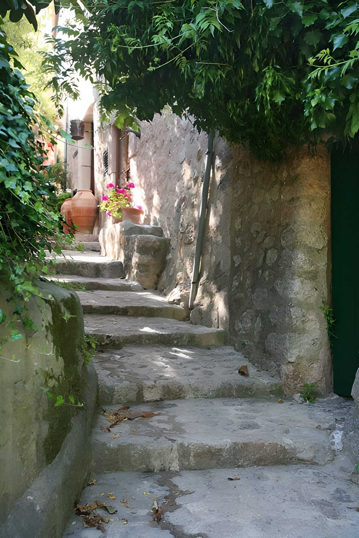 Escalier le long d'un mur en pierres et végétation 1