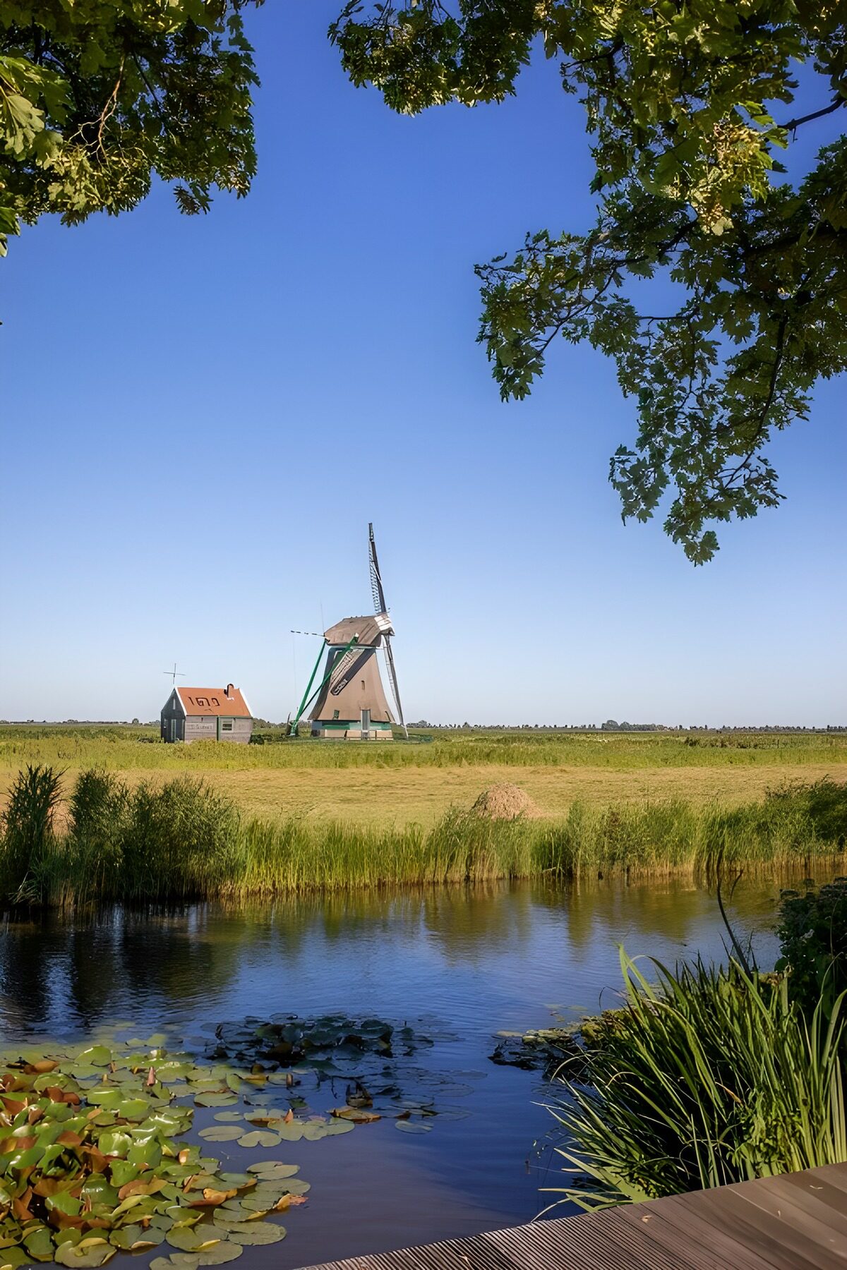 TPFR83695: Moulin pittoresque au bord de l'eau