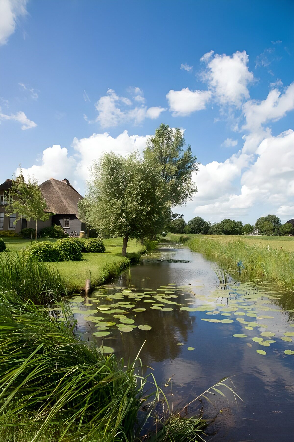 TPFR75191: Paysage paisible près de la maison