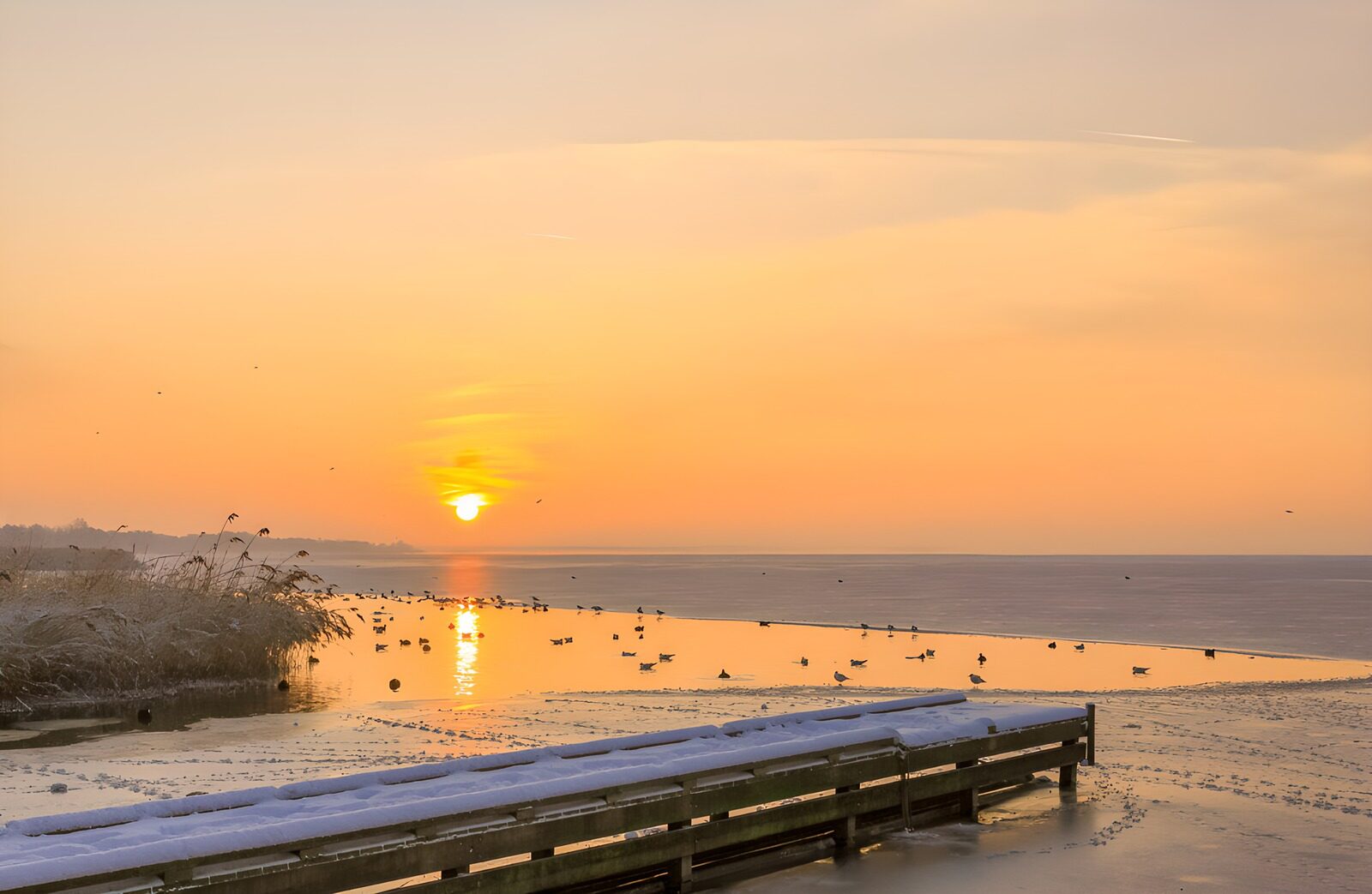 TPFR70631: Lever de soleil sur un lac hivernal