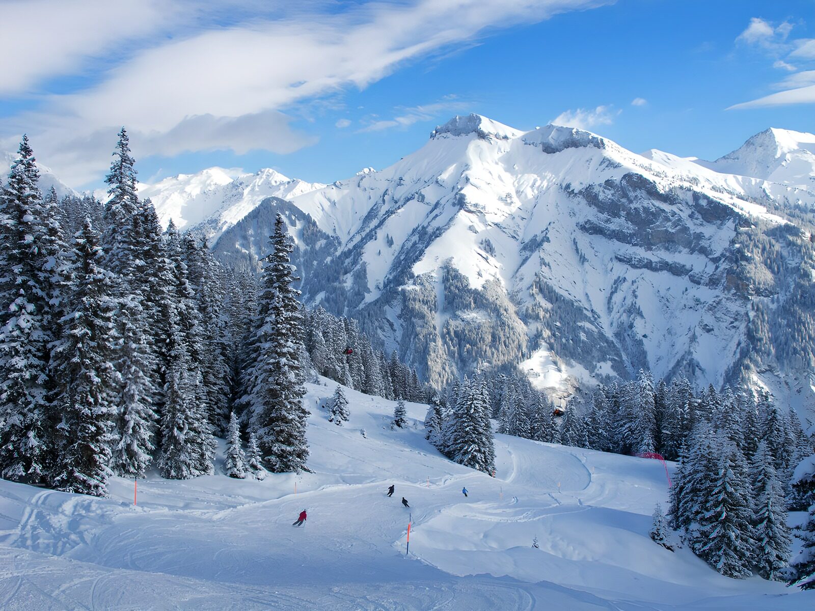 TPFR13774: Paysage de ski en montagne