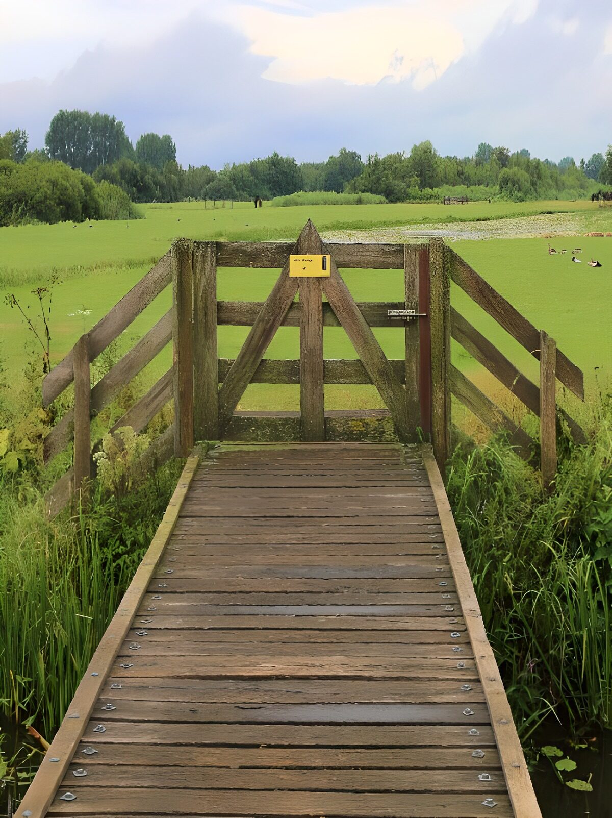 TPFR93233: Sentier vers la nature tranquille