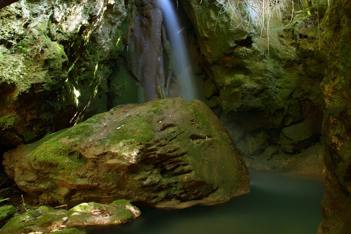 TPFR89118: Cascades cachées au cœur de la nature