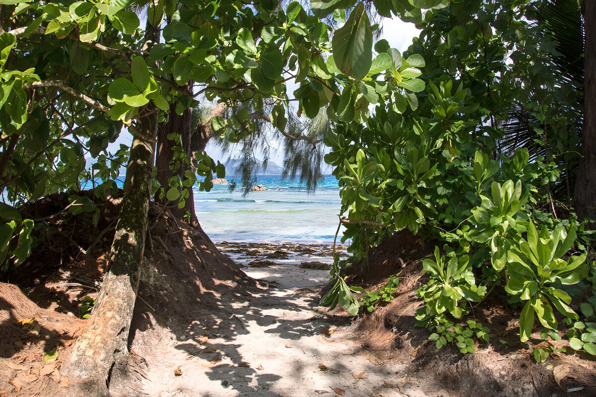 TPFR15557: Chemin vers la plage tropicale