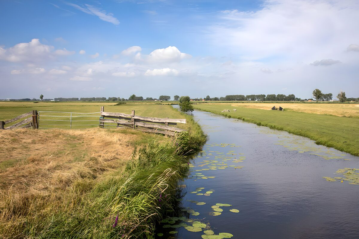 TPFR43972: Rivière paisible dans les prairies verdoyantes