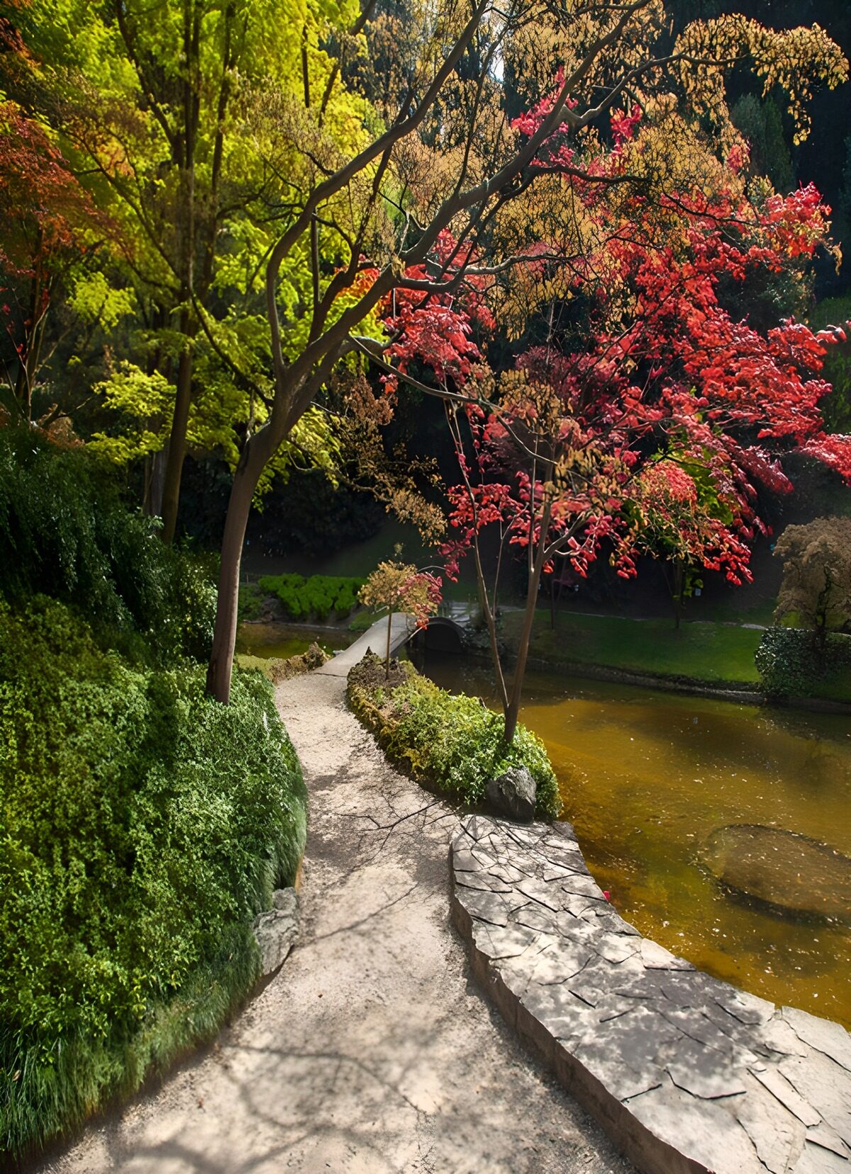TPFR90248: Jardin paisible aux couleurs d'automne